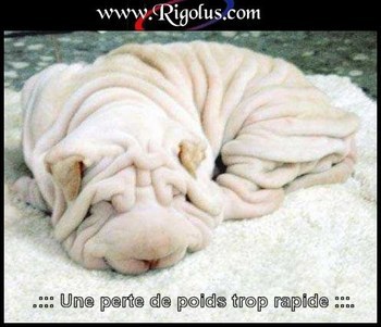 quand je pense qu'il i en as qui  veule encore faire un regime